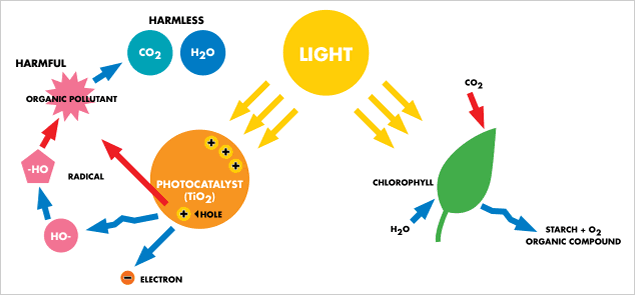 photocatalysis