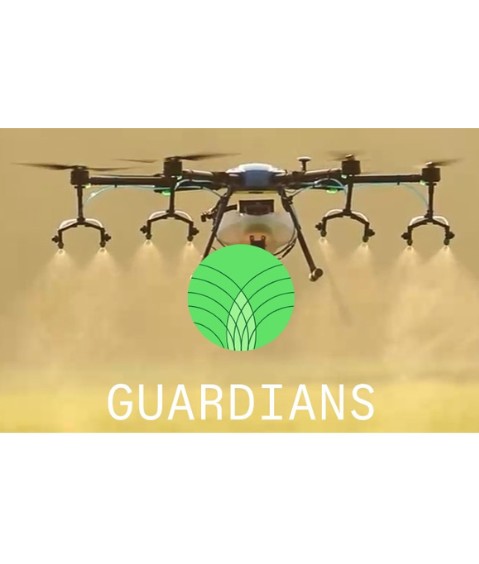 Logo GUARDIANS PROJECTS